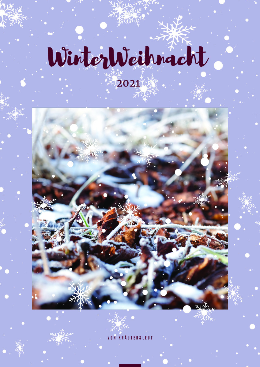 Cover des Ebooks - Schneeflocken verziert mit Winterbild
